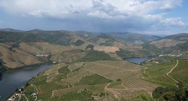 Alto Douro (Weinregion)