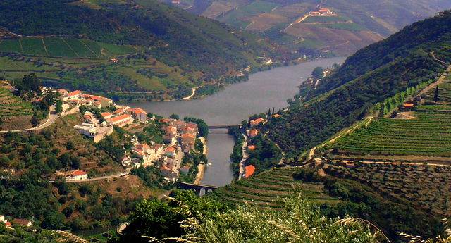 Weinregion Alto Douro