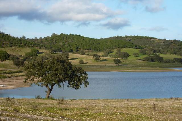 Barragem do Pego do Altar