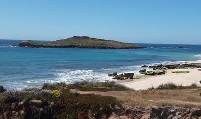 Ilha do Pessegueiro