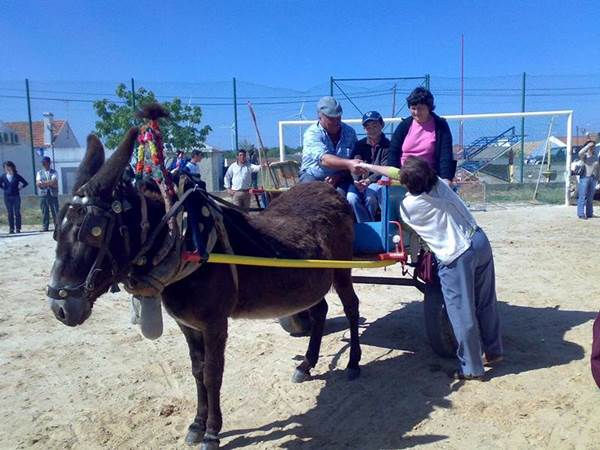 Passeio Sonega